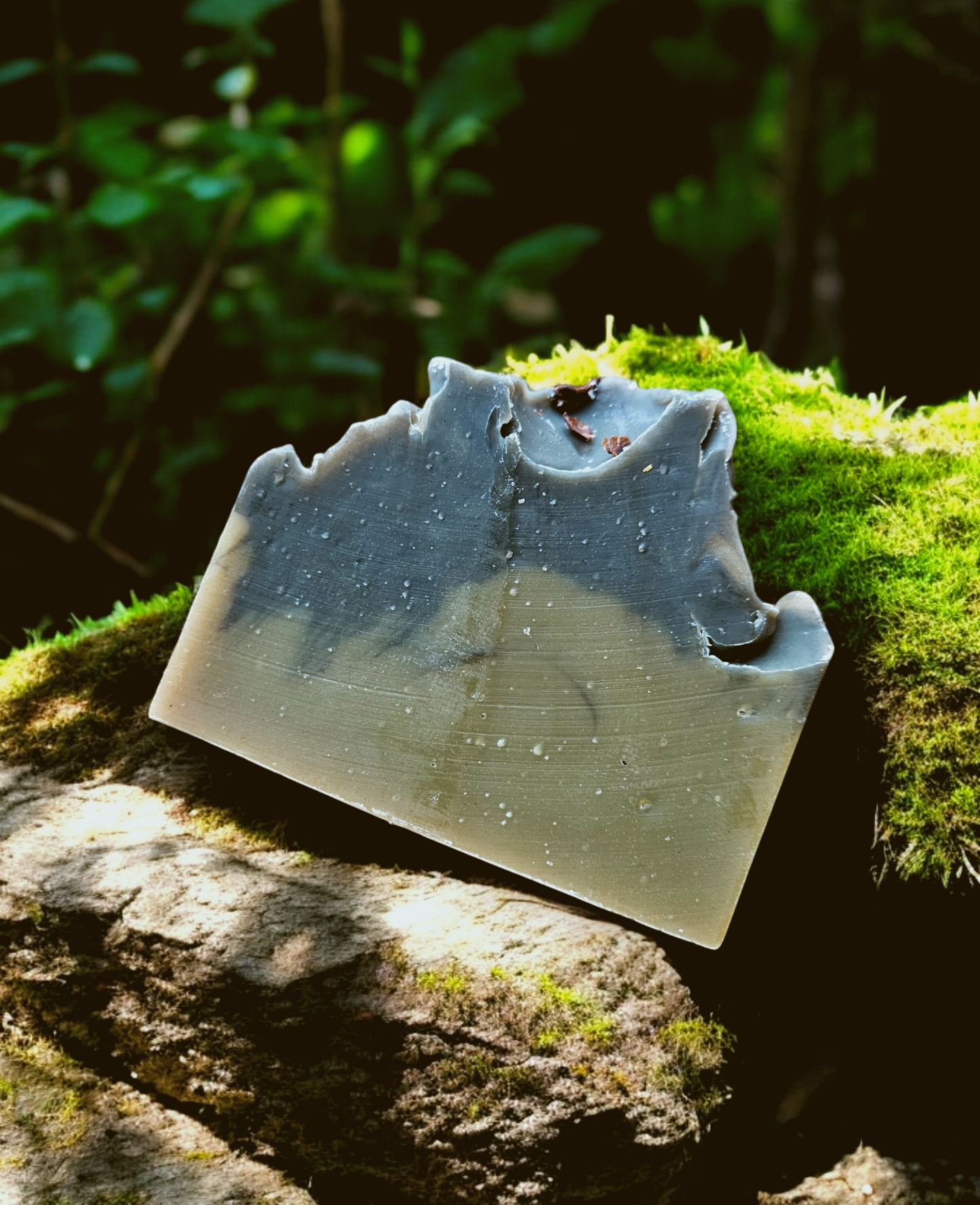 Dark Woods | Hand and Body Soap Bar
